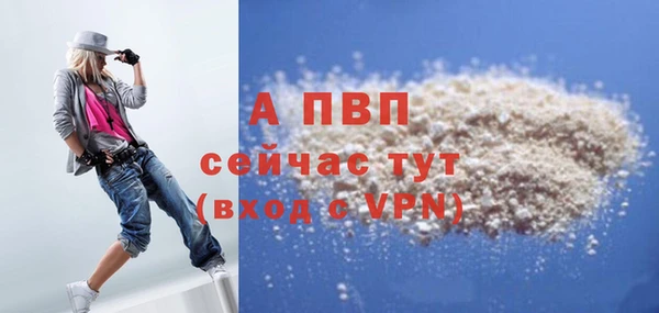 сатива Мегион