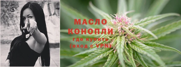 сатива Мегион