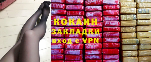сатива Мегион
