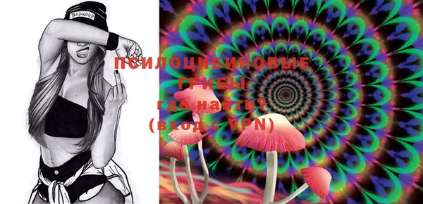 ECSTASY Медвежьегорск