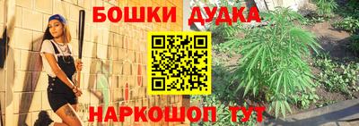 индика Будённовск