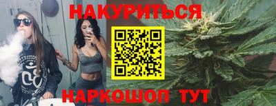 индика Будённовск
