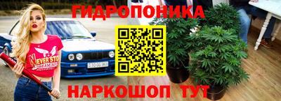 прущие крисы Бузулук