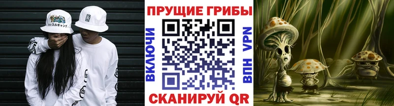 Псилоцибиновые грибы Magic Shrooms  Дербент 