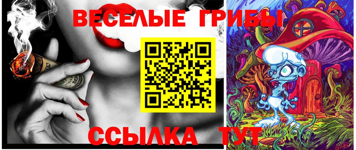 Псилоцибиновые грибы Cubensis Дербент