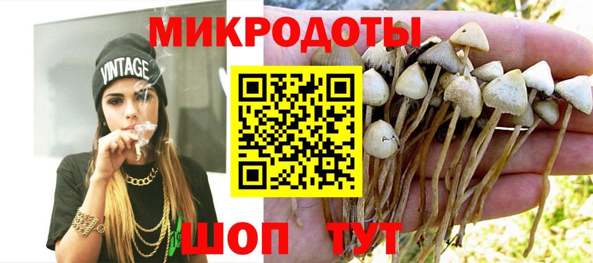 Галлюциногенные грибы Magic Shrooms  Вход с VPN  Дербент 