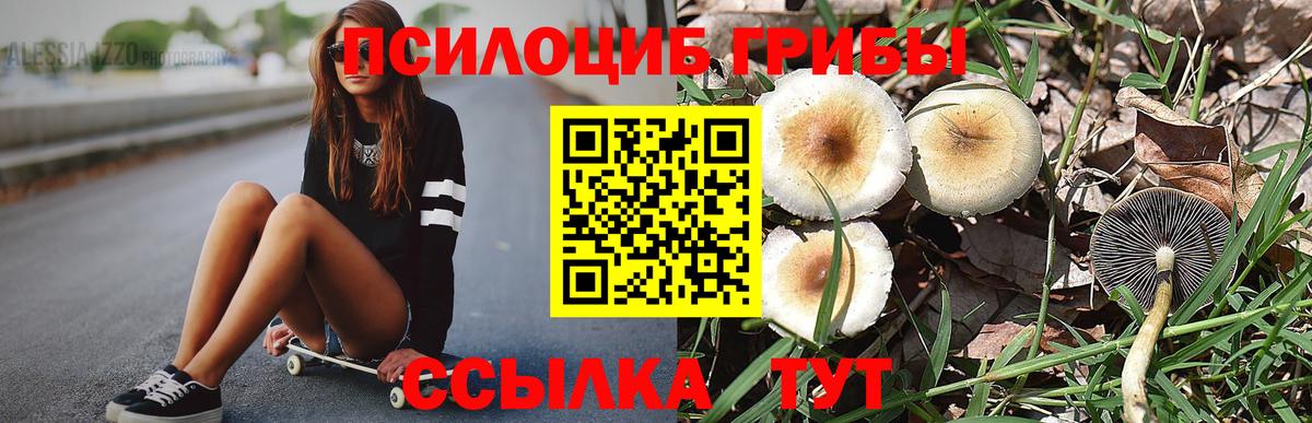 Галлюциногенные грибы Cubensis Дербент